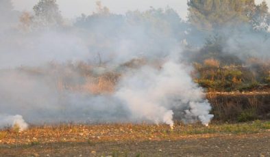 İsrail’in Fosfor Bombasıyla Düzenlediği Saldırı Lübnan Ormanlarını Alev Alev Yaktı