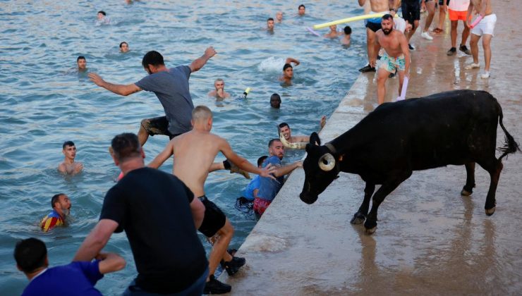 İspanya’da boğaların denize atlatıldığı festival artık sınırlandırılıyor