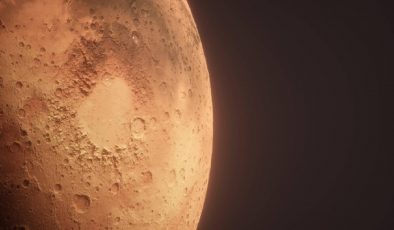 Mars’ta yaşamı sürdürebilecek bir bitki keşfedildi