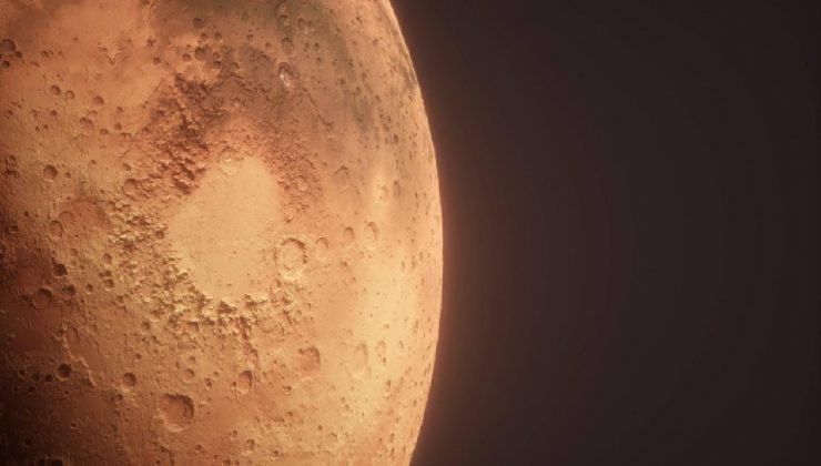 Mars’ta yaşamı sürdürebilecek bir bitki keşfedildi