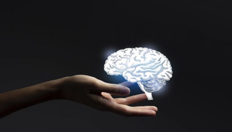 Neuralink’in beyin çipi projesinde devam eden ikinci aşama hayata geçiriliyor