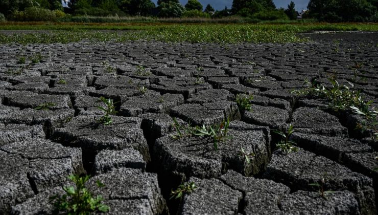 Yunanistan, tarihin en kurak haziran ayını deneyimledi