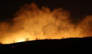 Yunanistan’da Orman Yangınları Yayılıyor: Bir Kişinin Cansız Bedeni Bulundu